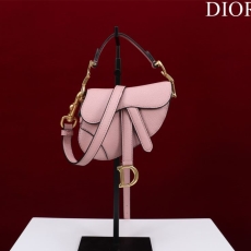 Dior Saddle Bags